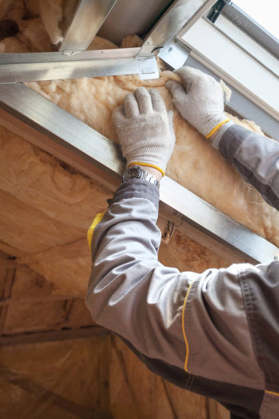 Best Specialized Insulation Services in Page, AZ
