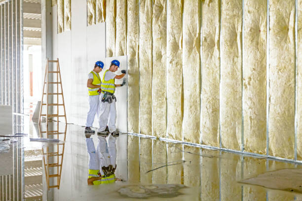 Best Cellulose Insulation in Page, AZ